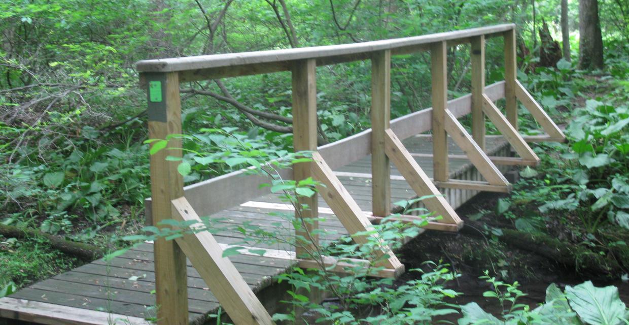 Bridge on trail at Closter Nature Center - Photo by Daniel Chazin