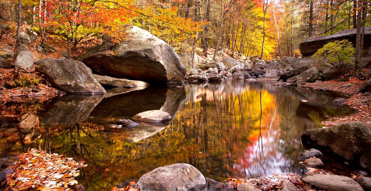 Autumn reflections along the Stony Brook Trail - Harriman-Bear Mountain State Parks - Photo credit: Susan Magnano