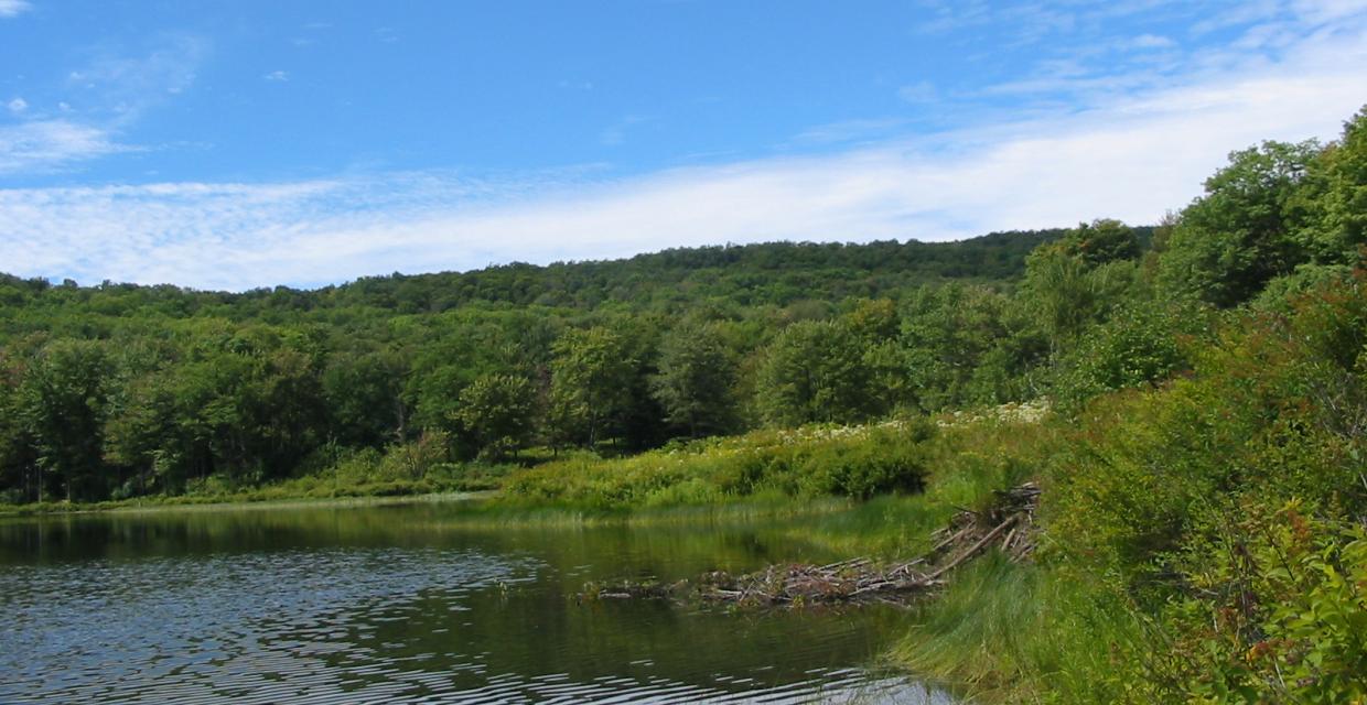 View of Trout Pond - Western Catskills - Photo credit: Daniel Chazin