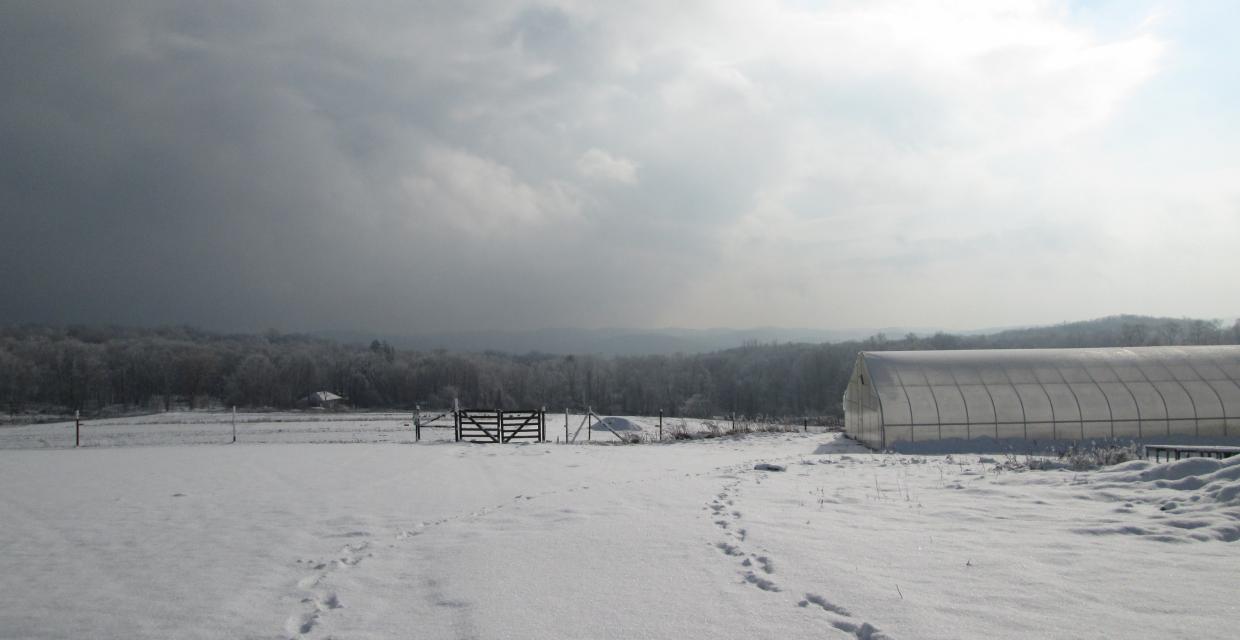 Snow covered farm field Photo: Jane Daniels