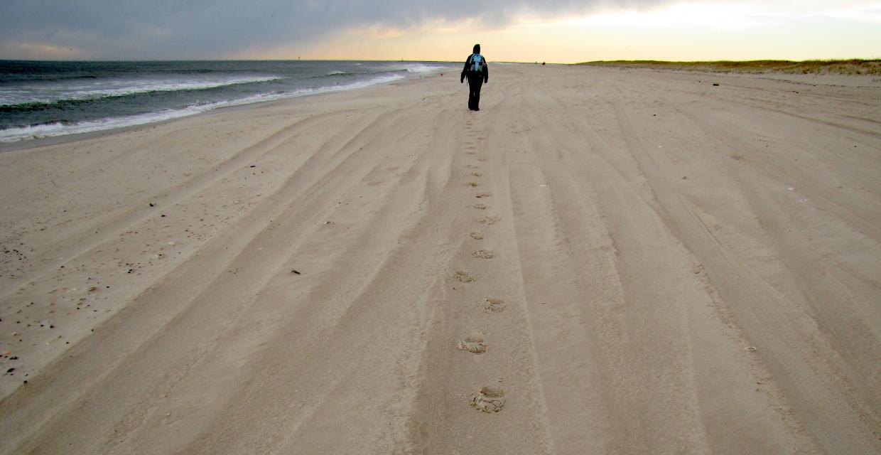 Footprints along the beach - Photo by Dan Balogh