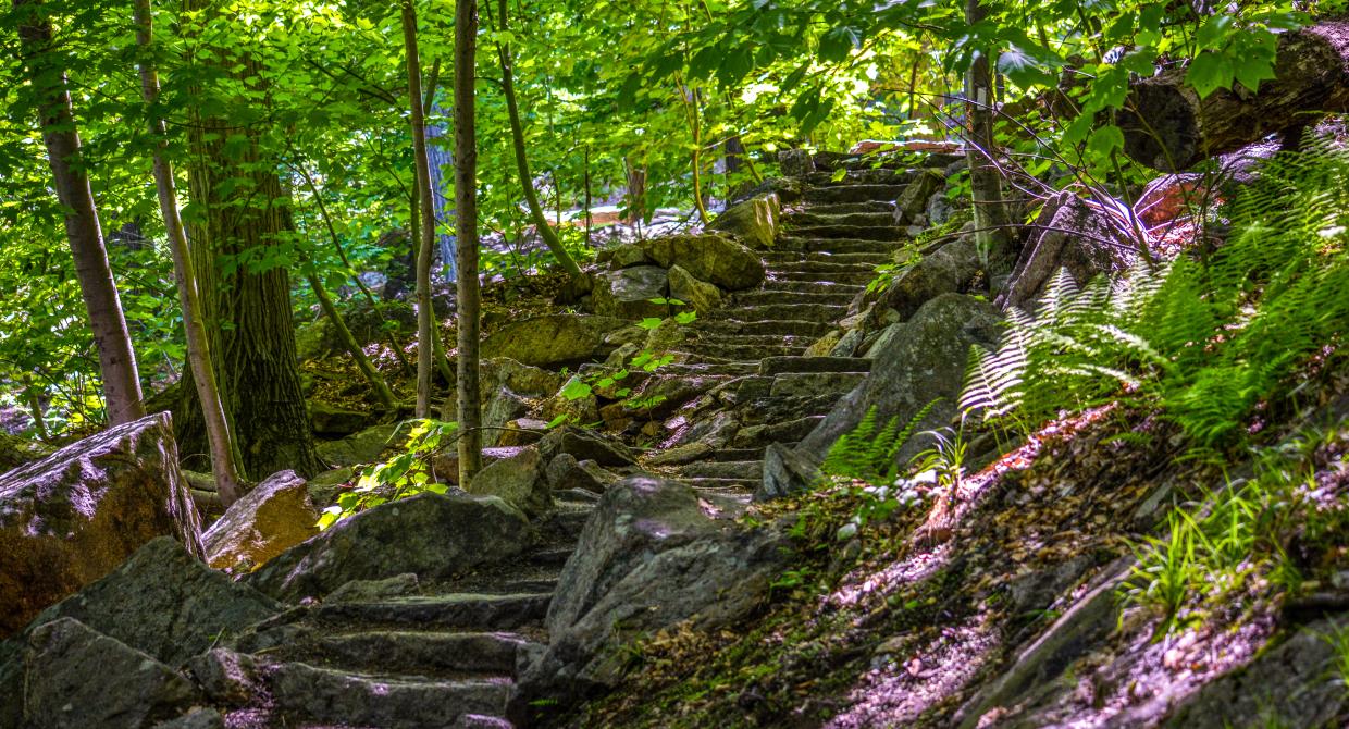 Appalachian Trail at Bear Mountain State Park. Photo by Josh Howard.