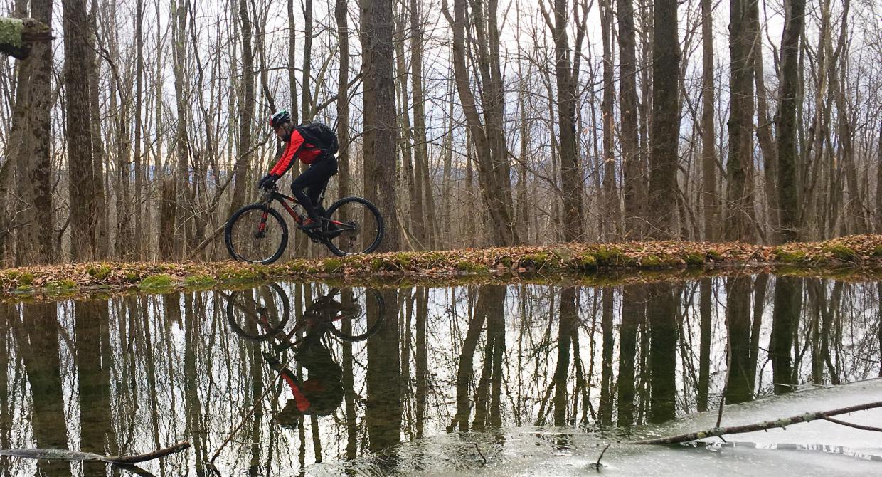 Mountain biker in the Catskills. Photo by Alicia Katsur.