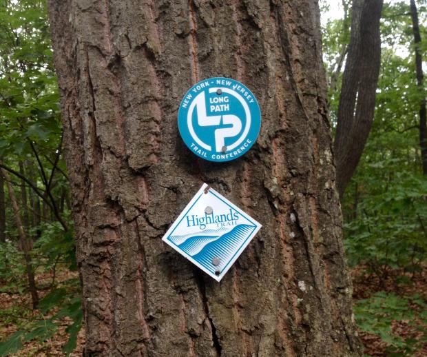 The co-aligned Long Path and Highlands Trail. Photo by Sona Mason