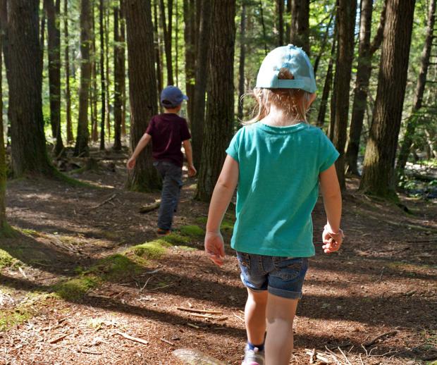 Kids hiking in Stokes State Forest. Photo by Jeremy Apgar.