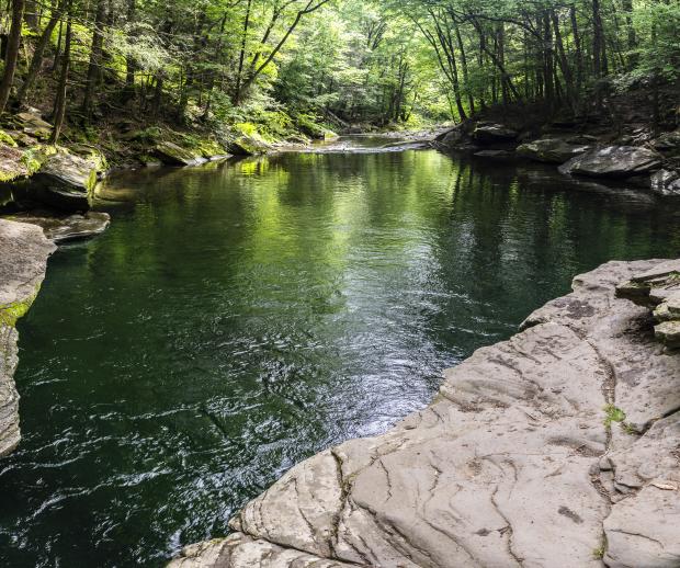 Blue Hole. Photo by Steve Aaron.