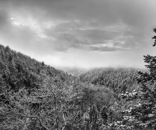 Catskill Valley. Photo by Steve Aaron.