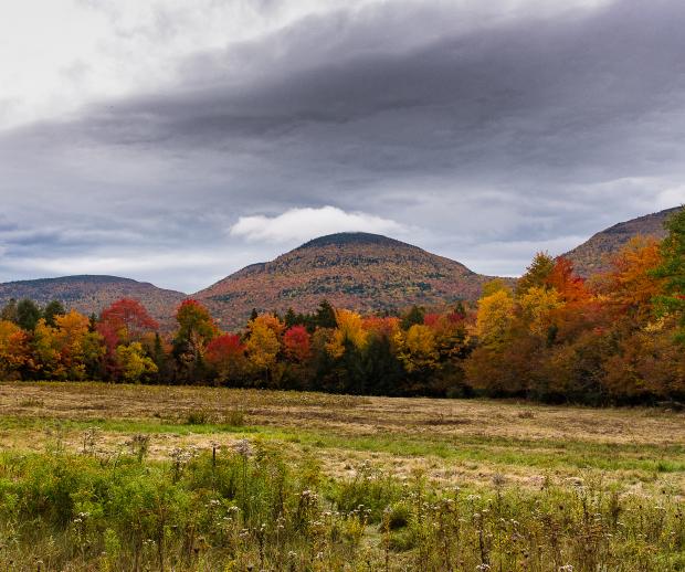 Devil's Path Peaks in Autumn on the Long Path. Photo by Steve Aaron.