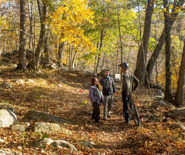 Hikers and Mountain Biker meet on Sterling Forest's multi-use trails. Photo by Robert Celestin.