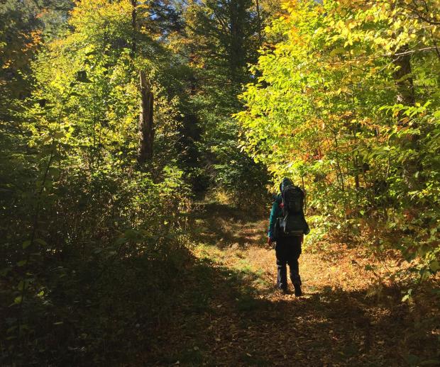 Fall hike in the Catskills. Photo by Justin Ray.