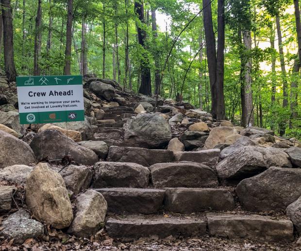 Newly-constructed staircase at Ramapo Valley County Reservation. Photo by Heather Darley.