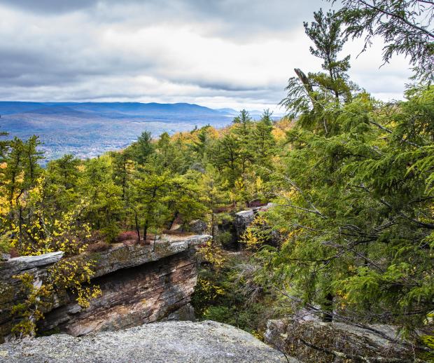 Shawangunk's Shingle Gully. Photo by Steve Aaron.