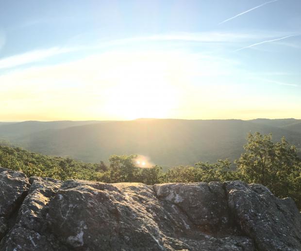 Appalachian Trail from Warwick Trailhead. Photo by Amber Ray.