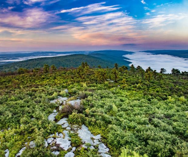 View of the Shawangunk Ridge from the Long Path. Photo by Steve Aaron.