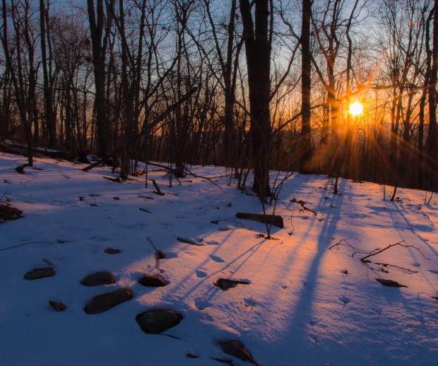 Sunrise on Schunnemunk Mountain State Park. Photo by Steve Aaron.