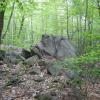 Large Rock Den - Tenafly Nature Center - Photo credit: Trail Conference