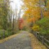 Fall colors along the North County Trailway Photo:Jane Daniels 